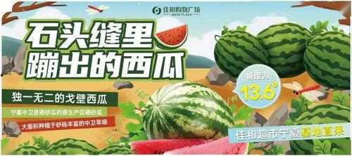 热门大瓜有哪些 每日大赛,每日大赛精彩纷呈